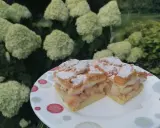 Pyszna szarlotka z bezą i kruszonką, oprószona cukrem pudrem, na talerzu wśród kwitnących hortensji.