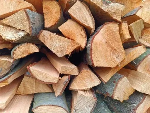 Jakie drewno na ognisko do kiełbasy - unikaj błędów i wybierz najlepiej