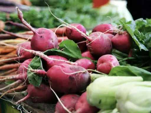 Porady kulinarne dotyczące przechowywania świeżych produktów w sezonie wiosennym