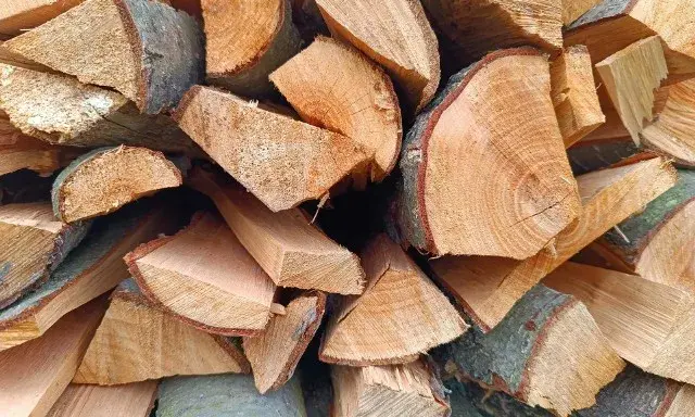 Jakie drewno na ognisko do kiełbasy - unikaj błędów i wybierz najlepiej