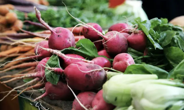Porady kulinarne dotyczące przechowywania świeżych produktów w sezonie wiosennym
