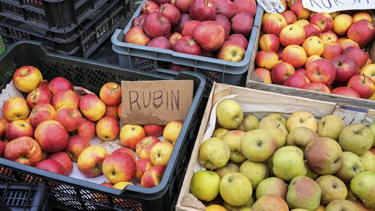 Jabłka Rubin i inne odmiany, idealne na aromatyczną szarlotkę, czekają w skrzynkach.